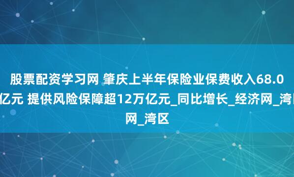 股票配资学习网 肇庆上半年保险业保费收入68.02亿元 提供风险保障超12万亿元_同比增长_经济网_湾区